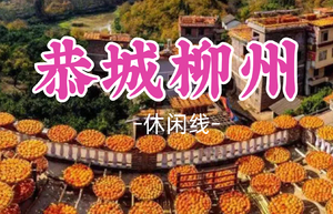 即将成团!特价468起！11.21晚-11.23【恭城柳州2天2夜】赏恭城月柿，柳州citywalk，百里柳江夜景美食