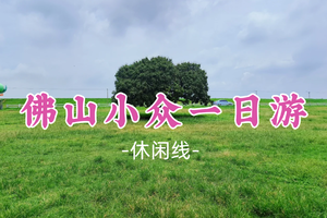 【佛山小众一日游】《热辣滚烫》取景地 + 佛山宝藏风光：打卡古村、天池、江堤与文艺