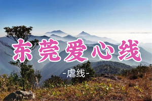 即将成团！79元起！周六12.20【东莞爱心线16公里】东莞爱心线，挑战东莞户外穿越毕业线