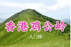 即将成团！109元起！周六12.20【香港鸡公岭7公里】香港小武功山高山草甸7公里穿越