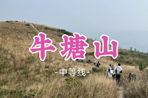 成团！108元起！白泽领队！周四12.18【牛塘山8公里 】江门“小武功山”醉美高山草甸，徒步牛塘山 
