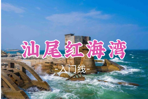 即将成团！129元起！随风领队！清明4.4【红海湾10公里】汕尾红海湾海上古堡，粤东最美黄金海岸线