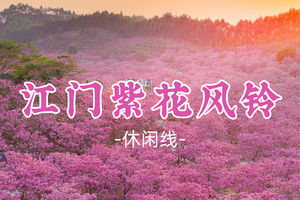 即将成团！花期！79元起！耀杰领队！周二12.16【紫花风铃】珠三角醉美紫花风铃+蒲葵林+彩虹村 