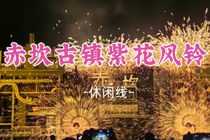 成团！268元起！12.20-21【赤坎古镇+紫花风铃2天】300个圣诞老人火秀 花车巡演