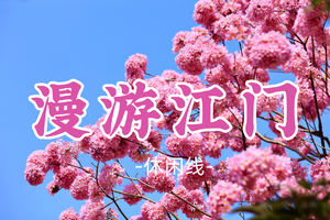 即将成团！69元起！周日12.21【漫游江门】珠三角醉美紫花风铃+圭峰山百亩红枫+石涧碧湖落羽杉