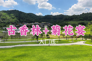 成团！新线！69元起！雨迹领队！周日12.21【古香林+菊花宴】中山小众打卡点-古香林公园+品尝中山非遗味道菊花宴