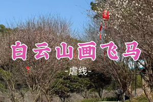 即将成团！9元起！鸽子领队！周五2.6【白云山画飞马18公里】白云山画飞马：飞马迎春，马到成功