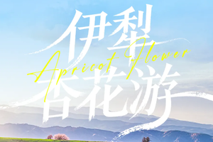 春季赏花！【伊犁杏花 6日】2-8人 吐尔根 那拉提冰百合 大西沟杏花 独山子大峡谷 赛里木湖
