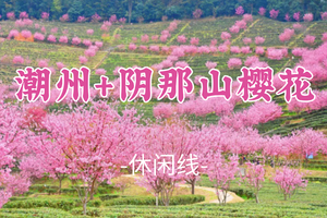 即将成团！春节初四2.20-2.21【潮汕古城&阴那山樱花2天】逛潮州古城赏非遗英歌舞、赏广东樱花天花板阴那山千亩樱花