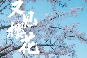 春节赏花限定！3.12/19/21/3.26【又见樱花 】| 2026贵州花季秘境徒步4天3晚