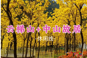 即将成团！69元起！周日3.1【中山故居+云梯山】云梯山赏黄花风铃木，孙中山故居博物馆