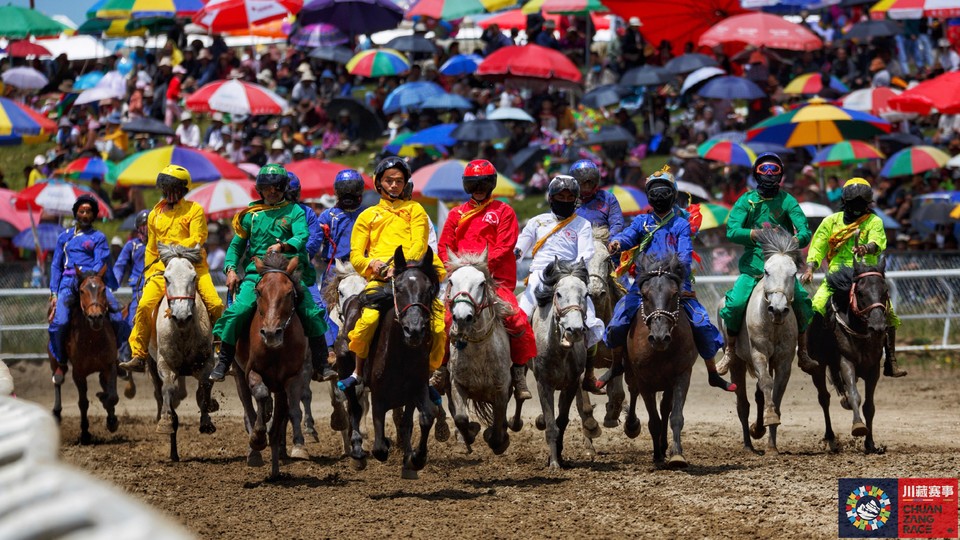 贡波夺吉 河曲马赛马节