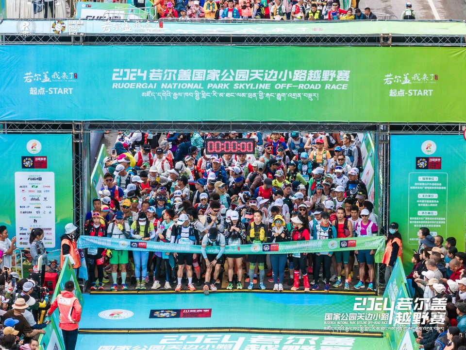 4611731293514_.pic_hd