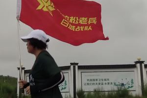 A409纪玉凤
