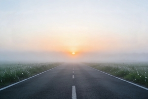 【赛道照片、成绩证明收集】 | 上海半程马拉松NB老兵大众战队（2026年）