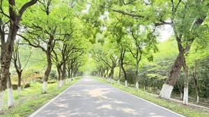 欧派工贸2026环浙步道百里钱塘站（5公里报名通道）