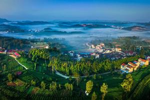 迎亚运•“中行杯”2023年新昌青年科技人才台地公路赛