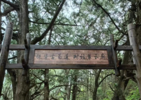 「2日」金牛古道＋汉阳段（每周六发团）	