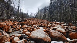 4.9周四「初级 · 理小路」每周2467发团