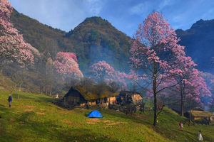 4.11周六「2日 | 徒步」藏王寨住酒店