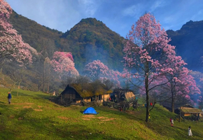 4.11周六「2日 | 徒步」藏王寨住酒店