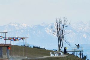 4.11周六「初级 · 无忧谷杜鹃花」