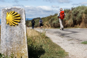 「西班牙」7日圣地亚哥朝圣之路113KM精华线