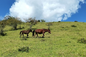 「初级 · 云中牧场」每周23467发团