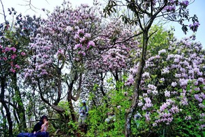 5.20周三「初级 · 神瀑沟」每周三六七发团