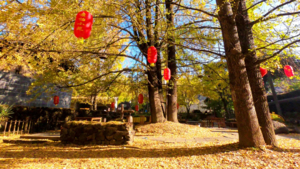 「云南」7日滇西北环线（11.21一期）