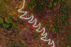 「4日 | 休闲or徒步」三峡之巅红叶季（11.12一期）
