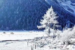 「3日」四毕达（天天发团）