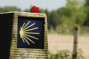 「西班牙 | 朝圣之路」7天6夜葡萄牙之路