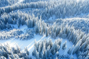 「新疆 | 初级」7日冬徒伊犁