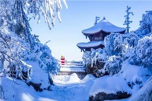 2.19初三「2日」瓦屋山