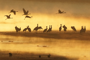 2.19初三「3日 | 休闲」昭通大山包