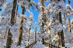 每周一三六发团「2日」「瓦屋山 · 柳江古镇 」