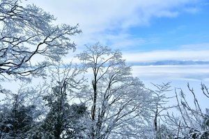 「初级 · 赵公山西线/奖牌」每周六发（2.18/2.20)