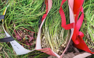 「打野 · 都江堰秘境」每周三六七	