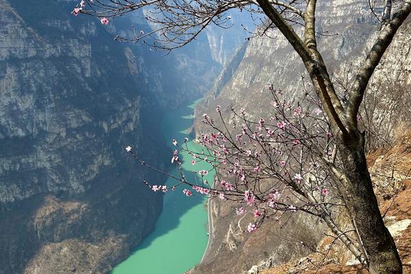 4.20周六「中级 · 丁木沟」，13km“四川虎跳峡”