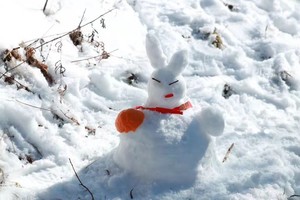 「初级 · 九顶山登顶坪」，每周三四六七发团/（2.18-2.23天天发）