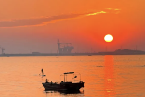 2.16/2.17均成行「看海」6日三娘湾追海豚（2.16/2.17两期）