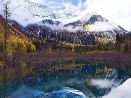 「初级 · 霸王山虞美措」每周6发团