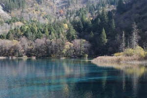 「4日」九黄毕达（天天发）