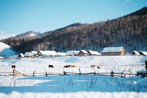 春节均成团「新疆 | 摄影」6日阿勒泰十二时辰（每周三六发团）