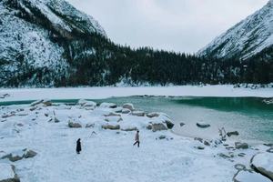 已成行「西藏」5日来古冰川越野出行