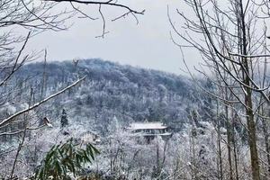 「中级· 彭州天台山 」每周六发团