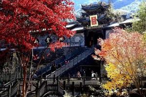 「攀西」5日阳光攀西（2.17一期）