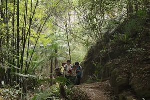 「初级 ·  彭州老鹰岩山脊环线」，2.7周六