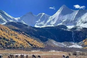 「5日」稻城亚丁（天天发）